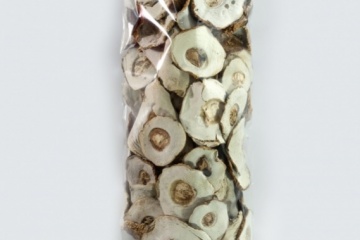 bor-szlach-bialy3